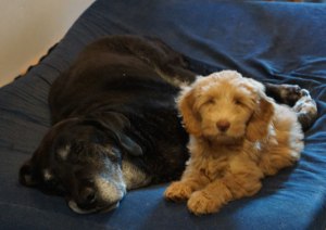 So-now-what-do-I-do-